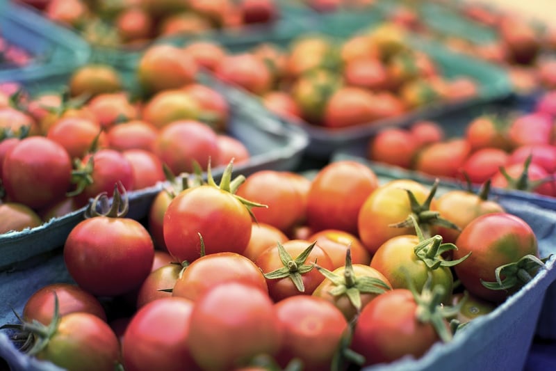 Fresh Vegetables Market